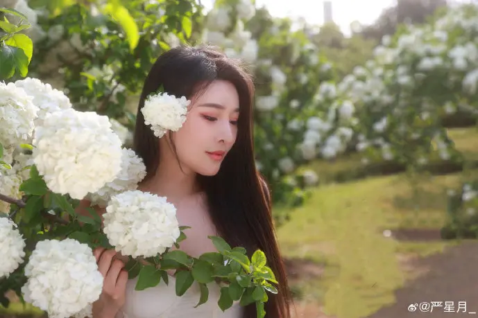 百度云下载速度对比图